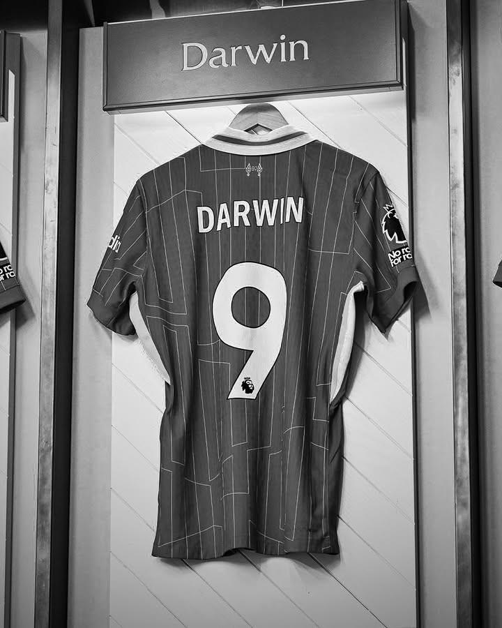 ws, 交媒体发布, http