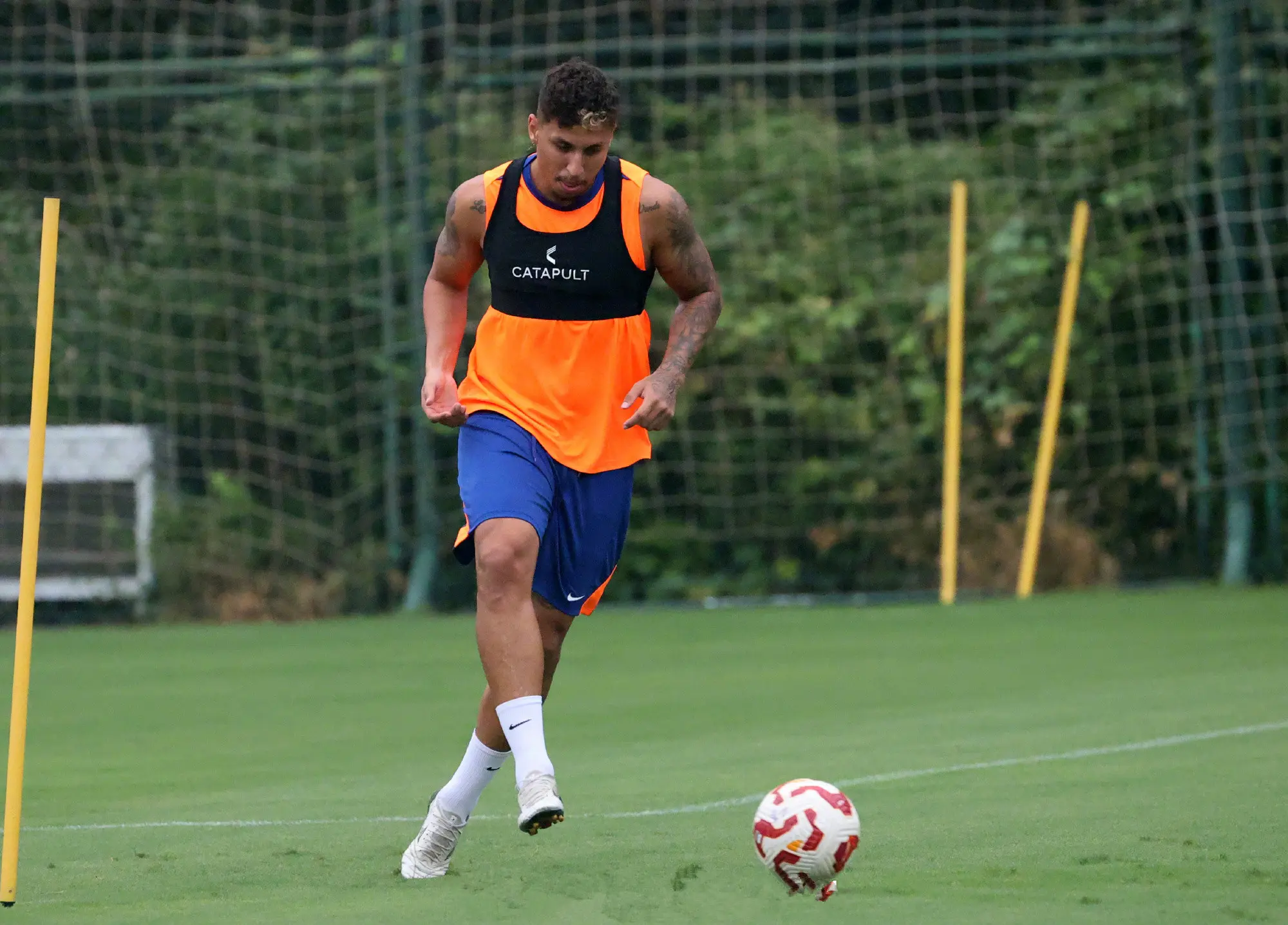 天平似乎在, 闻的最新报, 结束假期恢